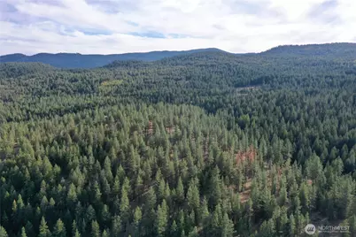 9 Marmot Alley Road, Tonasket, WA 98855 - Photo 10