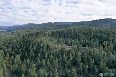 9 Marmot Alley Road, Tonasket, WA 98855 - Photo 1