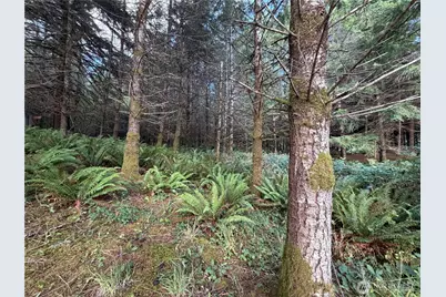 0 Monohon Landing Road, Raymond, WA 98577 - Photo 2