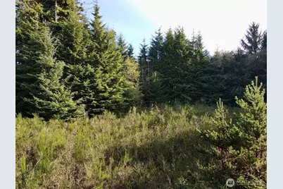 0 X Lyons Lane, Aberdeen, WA 98520 - Photo 10