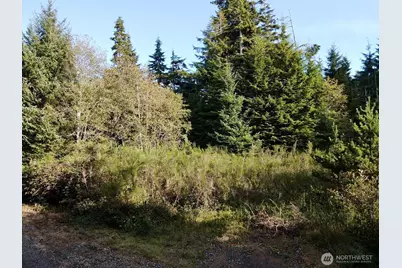 0 X Lyons Lane, Aberdeen, WA 98520 - Photo 8