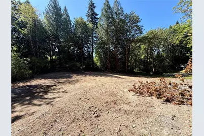 0 Lot 3 E Emily Lane, Shelton, WA 98584 - Photo 6