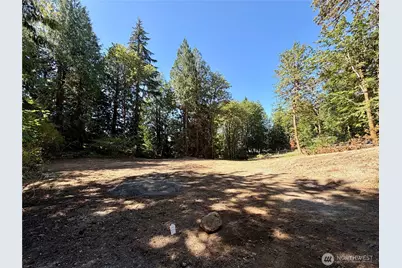 0 Lot 3 E Emily Lane, Shelton, WA 98584 - Photo 8
