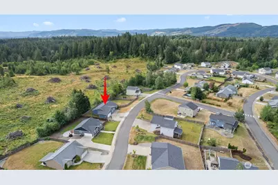 905 Cody Street SE, Rainier, WA 98576 - Photo 6