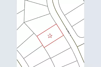 10510 Olympic Place, Anderson Island, WA 98303 - Photo 2