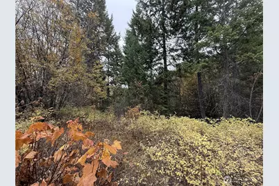 91 Edgewood Lane, Curlew, WA 99118 - Photo 22