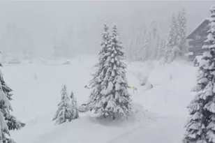 17700 Alpental Access Road NE, Snoqualmie Pass, WA 98045 - Photo 22