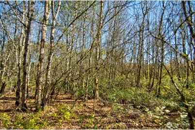 110 Frost Road, Toledo, WA 98596 - Photo 12