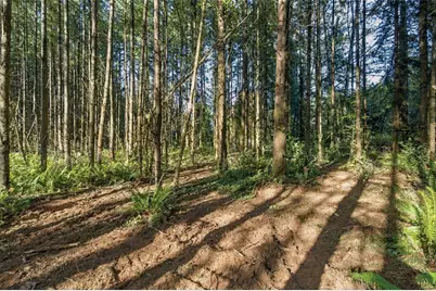 0 Xxx Burchett Road, Onalaska, WA 98570 - Photo 30