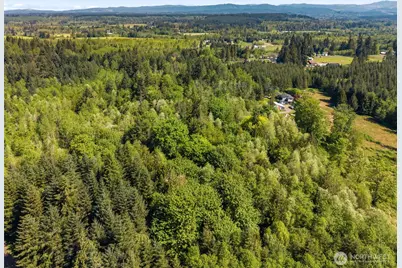 0 Xxx Burchett Road, Onalaska, WA 98570 - Photo 4