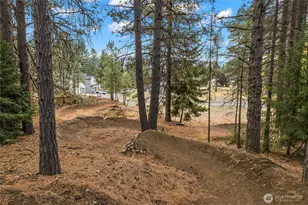 415 Outfitter Pl Lot 12, Cle Elum, WA 98922 - Photo 36