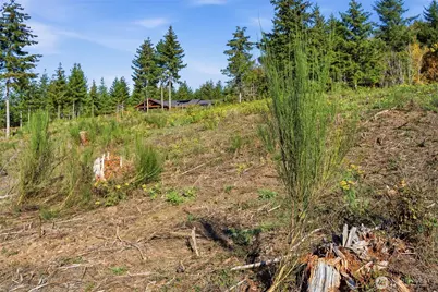3 E Lone Fir Drive, Shelton, WA 98584 - Photo 10