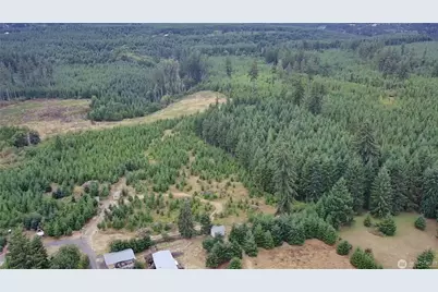 196 Allman Road, Winlock, WA 98596 - Photo 6