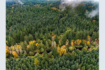 13041 Black Bear Lane SE, Tenino, WA 98589 - Photo 12