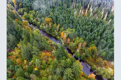 13041 Black Bear Lane SE, Tenino, WA 98589 - Photo 4