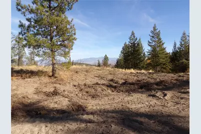 0 Tbd Stillwater Hill Road, Tonasket, WA 98855 - Photo 2