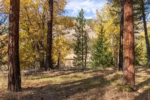 51 D E Buttermilk Creek Rd, Twisp, WA 98856 - Photo 32
