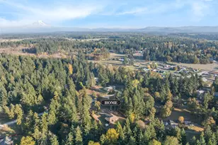 34720 S 82nd Ave, Roy, WA 98580 - Photo 38