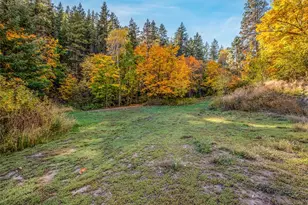 6478 Tripp Canyon, Cashmere, WA 98815 - Photo 28