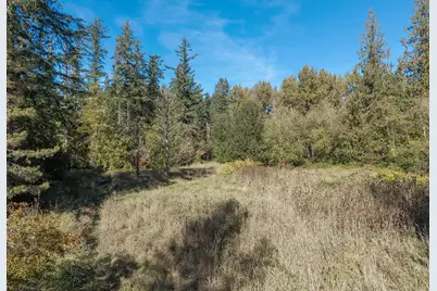 24 Xxx SE Black Nugget Road, Issaquah, WA 98029 - Photo 6