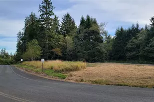 12 S Bend Palix Rd, South Bend, WA 98586 - Photo 1