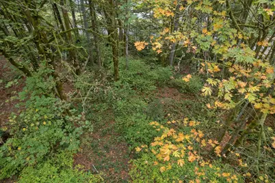 4527 79th Avenue SW, Olympia, WA 98512 - Photo 10