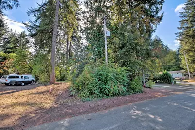 917 Grant Avenue, Shelton, WA 98584 - Photo 6