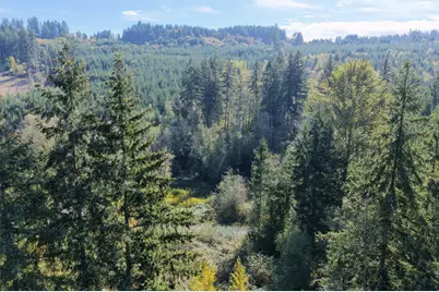0 NE Jenny Creek Road, La Center, WA 98629 - Photo 20