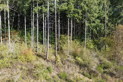 0 NE Jenny Creek Road, La Center, WA 98629 - Photo 14