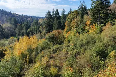 0 NE Jenny Creek Road, La Center, WA 98629 - Photo 22