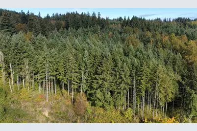 0 NE Jenny Creek Road, La Center, WA 98629 - Photo 6