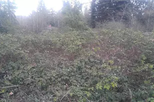 12810 34th Ave S, Tukwila, WA 98168 - Photo 1