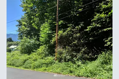 0 Xx S Dillard Avenue, Concrete, WA 98237 - Photo 1