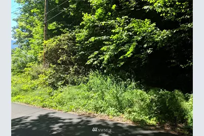 0 Xxx S Dillard Avenue, Concrete, WA 98237 - Photo 1