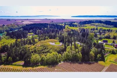 19243 Rexville Grange Road, Mount Vernon, WA 98273 - Photo 1