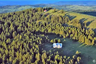 135 Lady Bug Rd, Oroville, WA 98844 - Photo 1