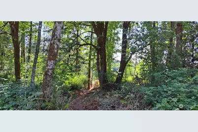0 Loop Lot 2 Road, Centralia, WA 98531 - Photo 1