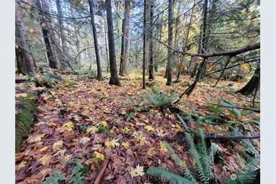 5376 Reese Hill Road, Sumas, WA 98295 - Photo 1