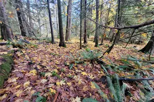 5376 Reese Hill Rd, Sumas, WA 98295 - Photo 1