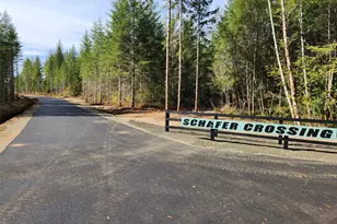 0 Lot 3 Div 2 Raven Ln, Elma, WA 98541 - Photo 1