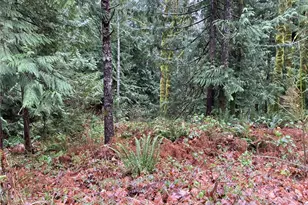 0 Arabian Dr, Brinnon, WA 98320 - Photo 1