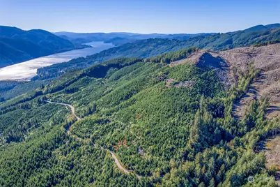 0 Usfs 81 Road, Cougar, WA 98616 - Photo 1