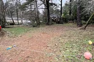 436 Mud Hen Loop SE, Ocean Shores, WA 98569 - Photo 1