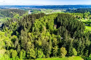 21721 Orville Rd E, Orting, WA 98360 - Photo 1