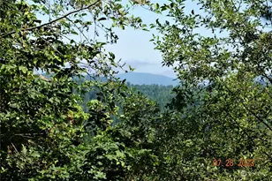 51983 114th Ave E, Eatonville, WA 98328 - Photo 1