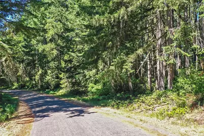 11004 Spruce Drive, Anderson Island, WA 98303 - Photo 1