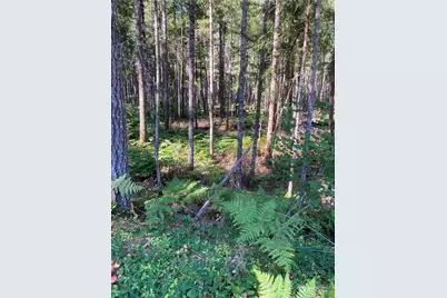 341 N Rainbow Way W, Hoodsport, WA 98548 - Photo 1