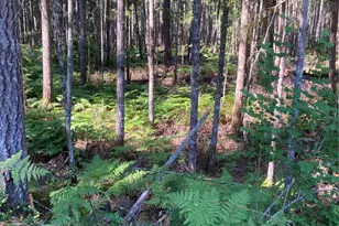 341 N Rainbow Way W, Hoodsport, WA 98548 - Photo 1