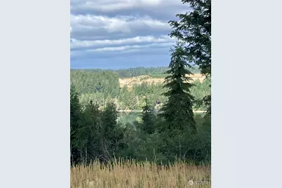 4 E Lone Fir Drive Drive E #Div 2, Shelton, WA 98584 - Photo 1