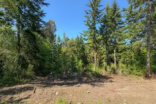 9999 Doe Run Rd, Sequim, WA 98382 - Photo 1